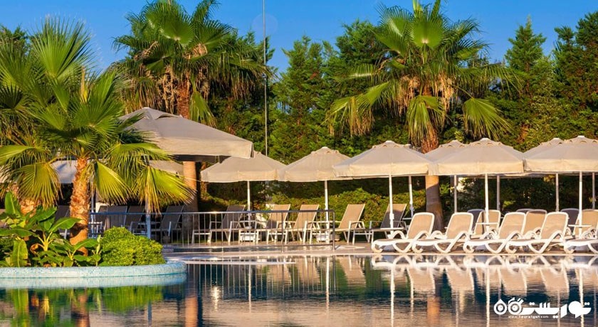 نمای استخر روباز هتل